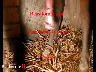 Best Chat Rooms