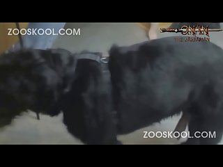 Rafaela Nakamura Videos