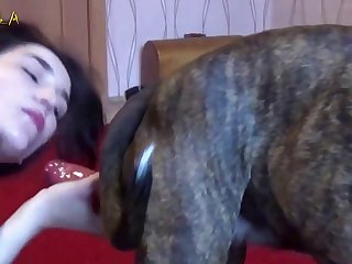 Bestiality Furry Porn