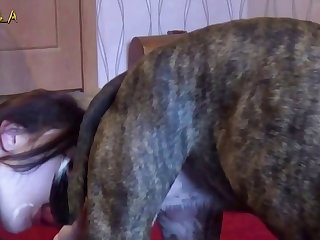 Bestiality Furry Porn