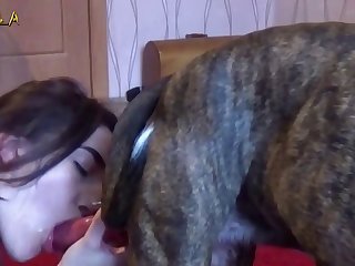 Bestiality Furry Porn