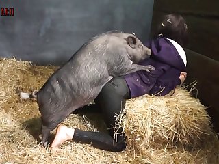 Is Bestiality Porn