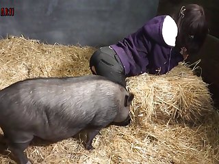 Is Bestiality Porn