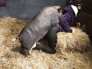 Is Bestiality Porn