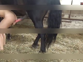 Download Bestiality Porn