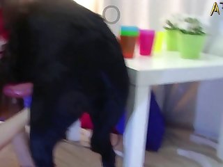 Pregnant Bestiality Porn