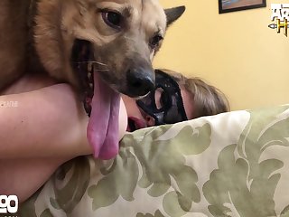 Furry Bestiality Porn Comic