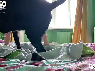 Wrong Hole Animal Porn