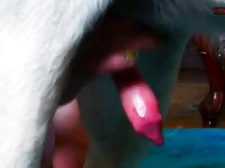 Harley Quinn Animal Porn