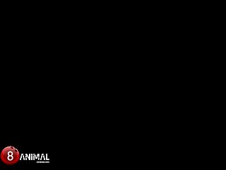 Animal Porn Rap