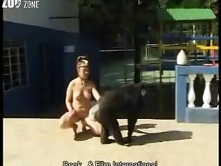 Animal Crossing Egyptian Cat Porn Animation