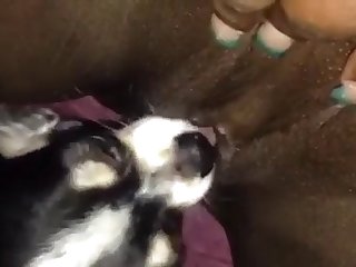Men And Female Animal Porn
