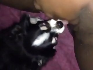 Men And Female Animal Porn