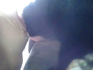 Animal Porn Sex Tube