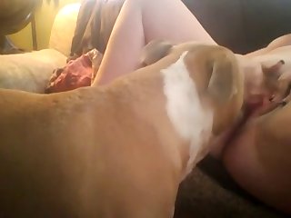 Horse Pussy Animal Porn