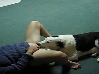 Animal Porn Cumshots