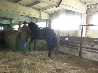 Man Fucks Dog Zoophilia Porn