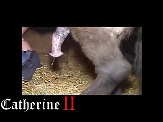 Zoo Tube Vids