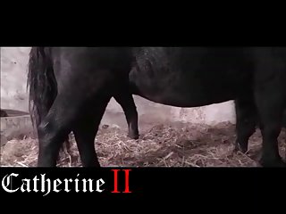 Zoo Tube Vids