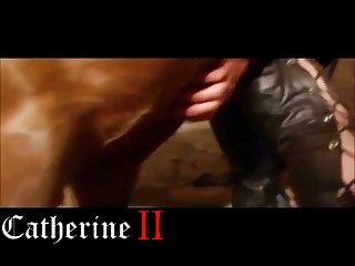 Zoo Tube Vids