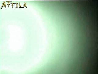 Zooweek Zoofilia