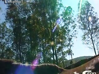 Sexo Amateur Zoofilia