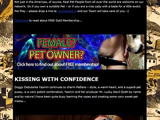 Rough Hard Extreme Porn