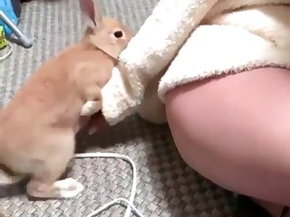 Public Porn Extreme