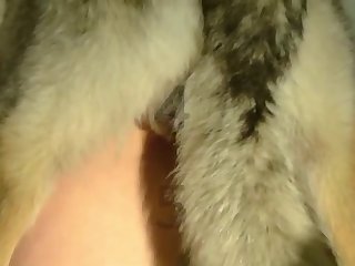 Extreme Bondage Porn Stories