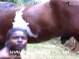 Women Dog Porn