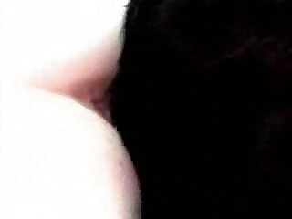 Sofilia Porno