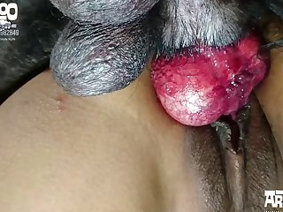 Sybian Extreme Porn
