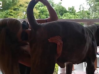 Extreme Pussy Lick Porn