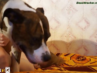 Dog Fuck My Mother