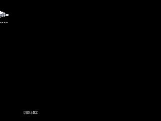 Free Dog Fuck Video