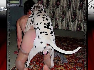 Mom Fuck My Dog