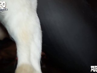 Mom Fuck My Dog