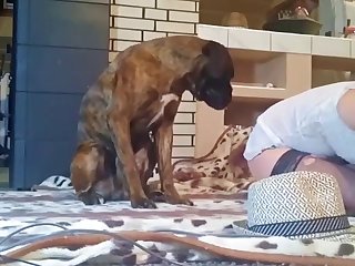 Lady Fuck By Dog