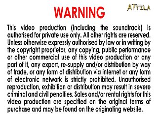 Twerking On Dog Porn