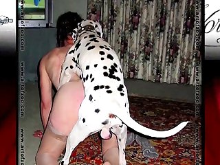 Latina Fucking Dog Porn