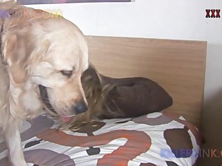 Amber Finney Dog Porn