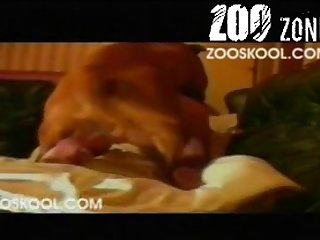 Porn Woman Fucked By Dog