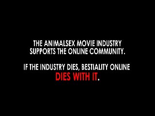 Silesto Zoofilia Xxx