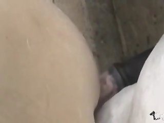 Zoofilia Mujeres Hermosas