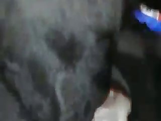 Videos Porno De Zoofilia Nuevos