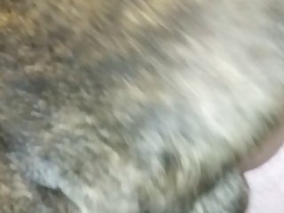 Zoofilia Perro Grande Xxx