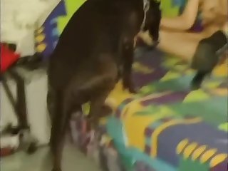 Pelicula Porno Zoofilia