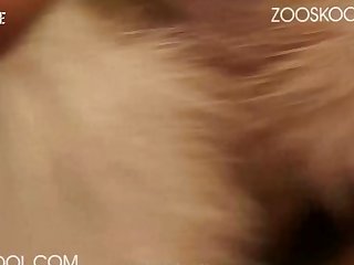 Xxx Caballos Zoofilia