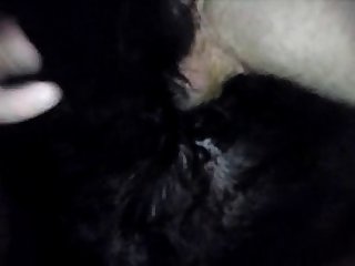 Video De Porno Com Animal