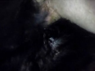 Video De Porno Com Animal